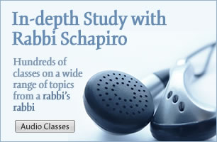 The Rabbi Schapiro Audio Collection